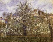 Camille Pissarro Vegetable Garden and Trees in Blossom oil painting picture wholesale